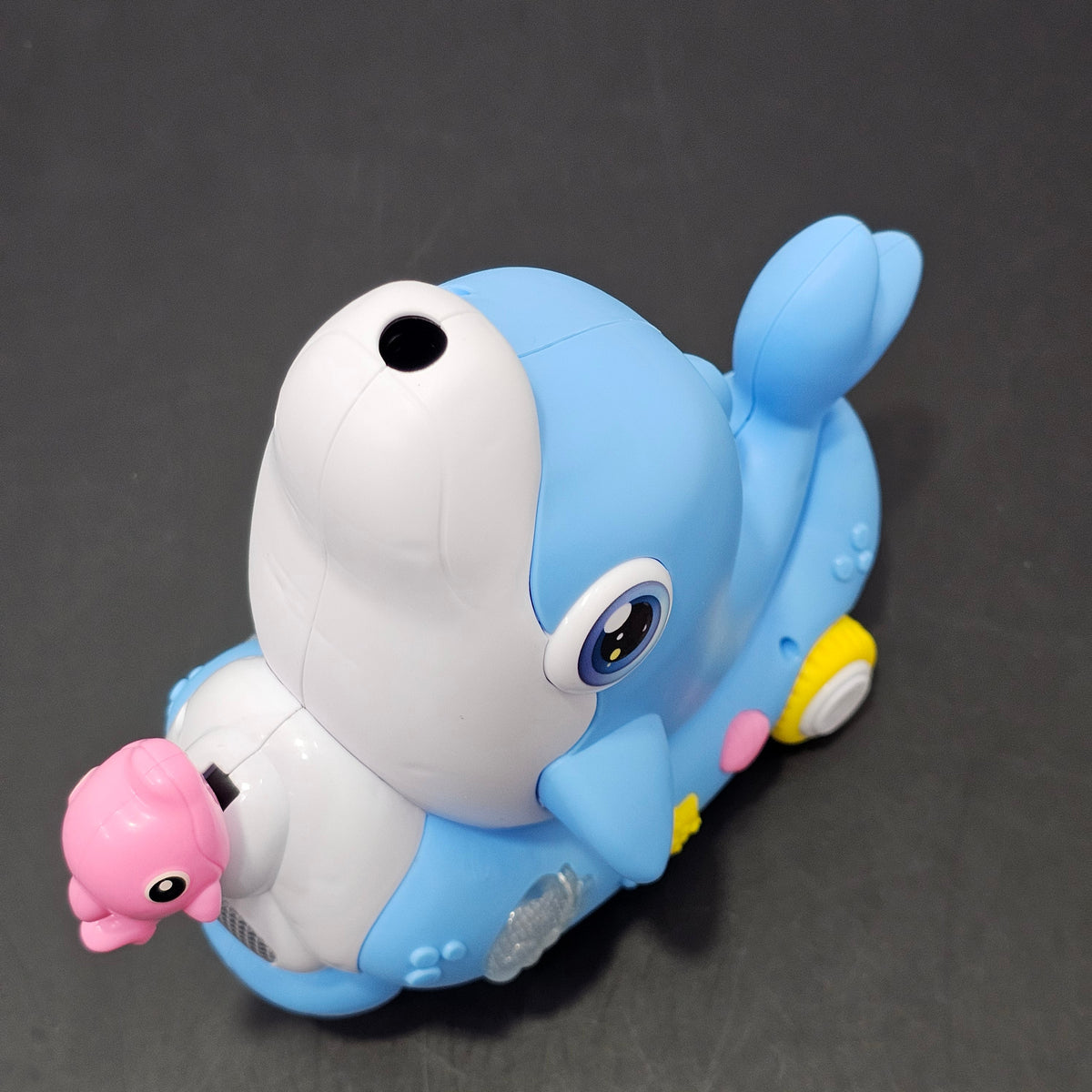 Dolphin Concert Music Toy – Lights, Sounds & Learning Fun
